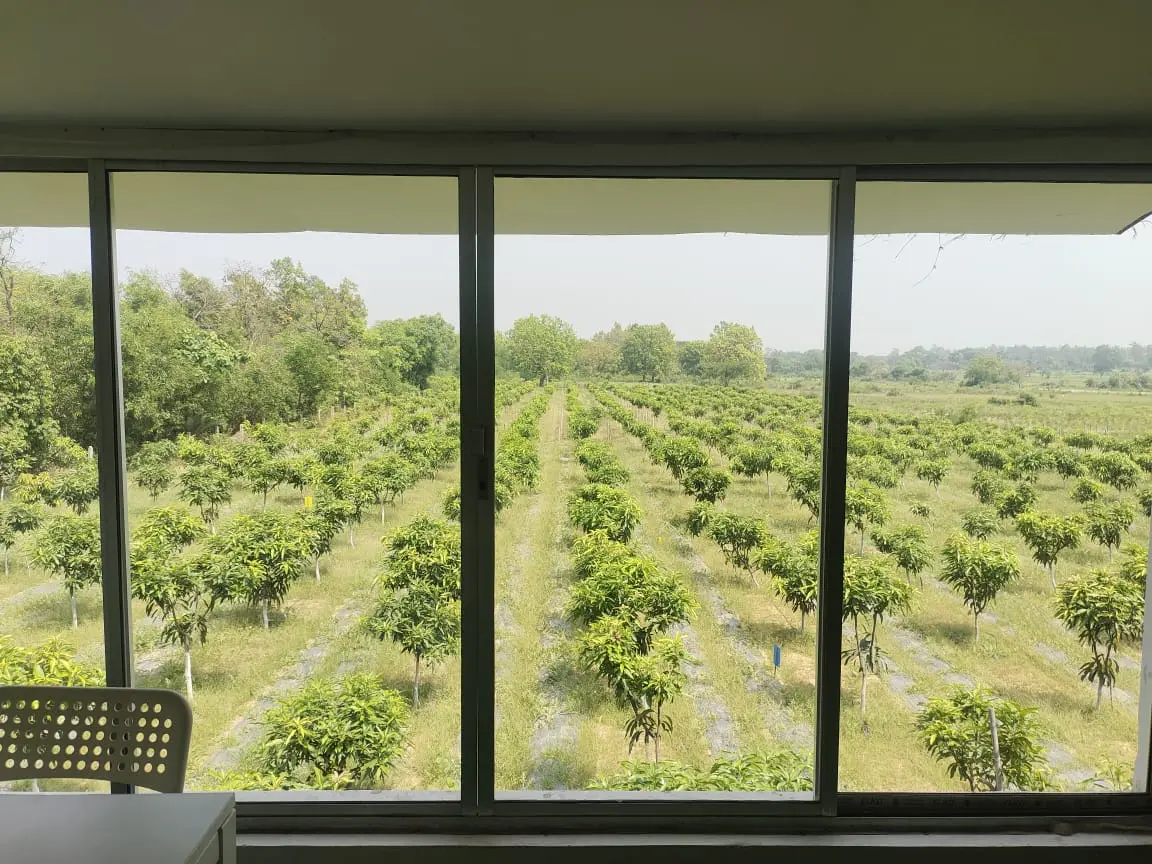 Balcony View