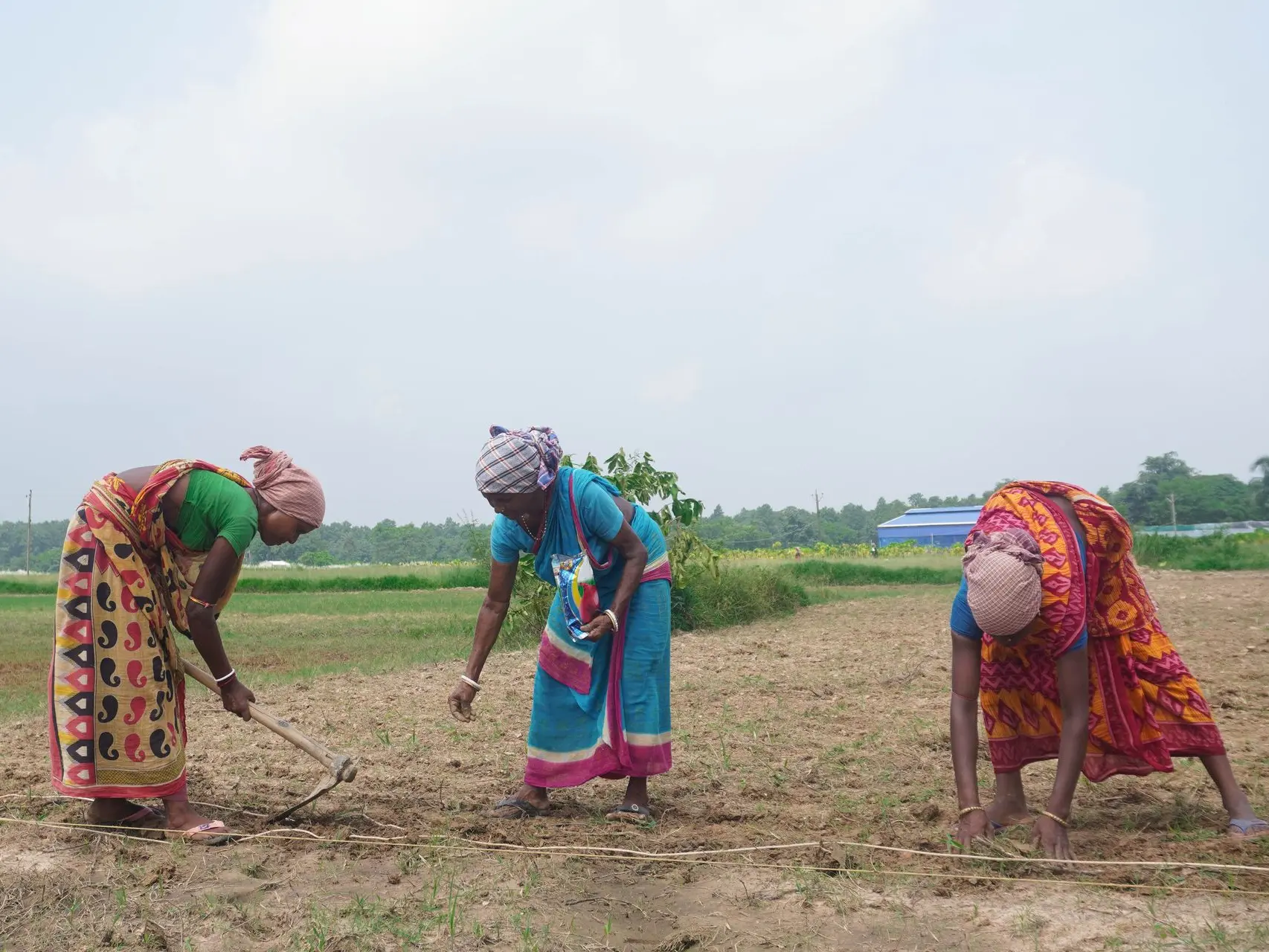 Female Workers