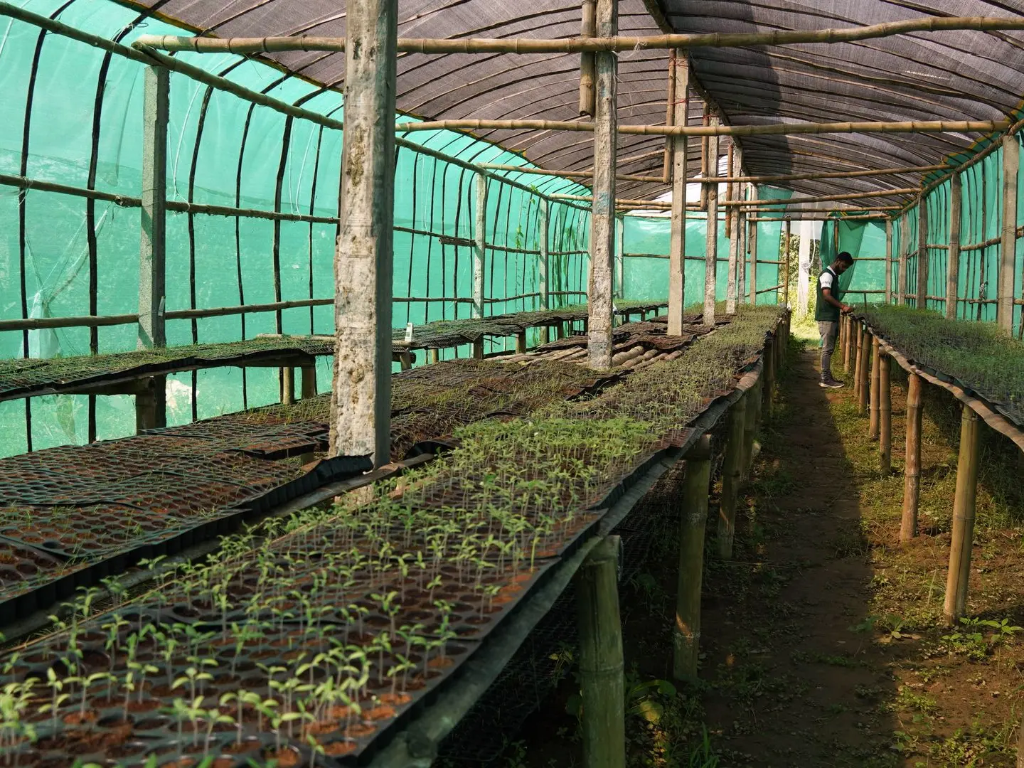 Nursery