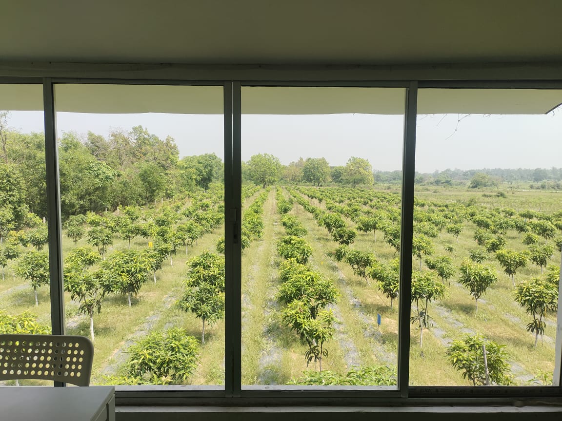 View from our Balcony