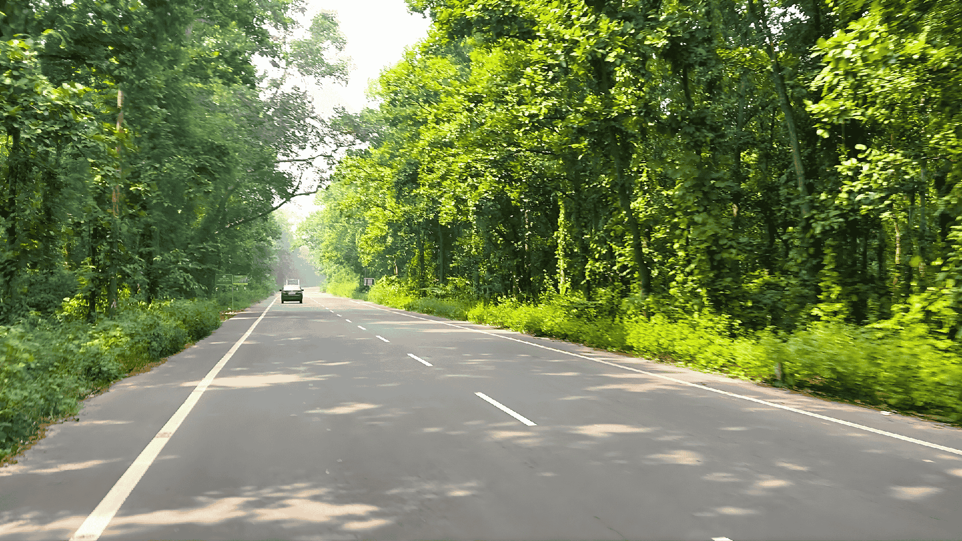 Roads to Bithi Aranya